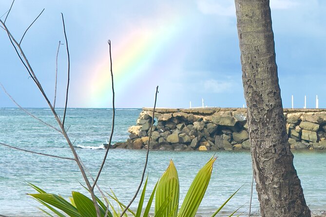 El Yunque Hike, Waterslide & Luquillo Kiosks Food with Transport - Who Will Enjoy This Most