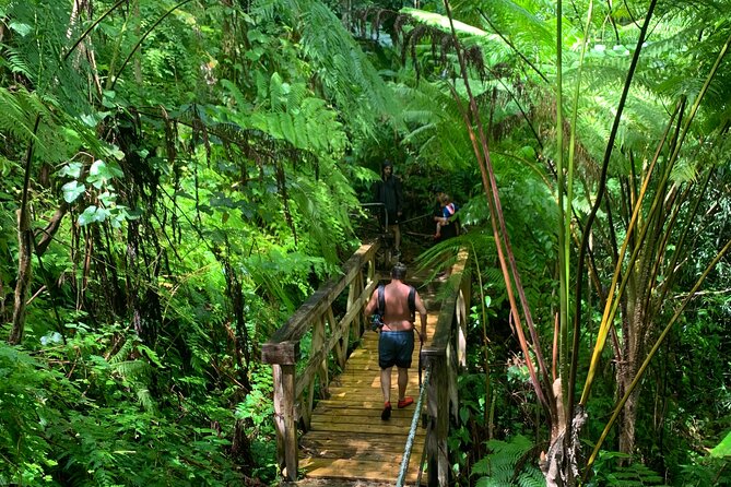 El Yunque National Forest and Luquillo Beach Combo - Key Points Before You Book