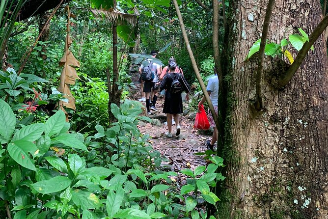 El Yunque National Forest and Luquillo Beach Combo - What This El Yunque and Luquillo Tour Is Really Like