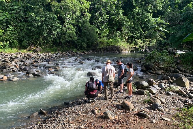 El Yunque National Forest and Luquillo Beach Combo - La Coca Falls Is Short, Scenic, and Easy to Reach