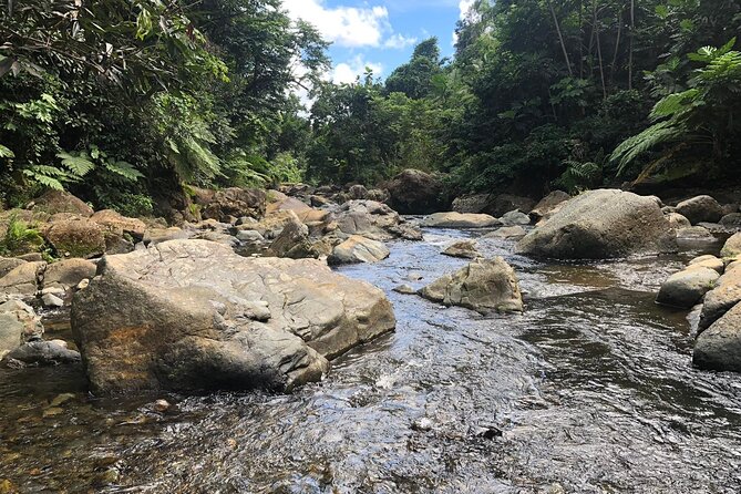 El Yunque National Forest and Luquillo Beach Combo - Luquillo Beach Brings Food, Sand, and Free Time