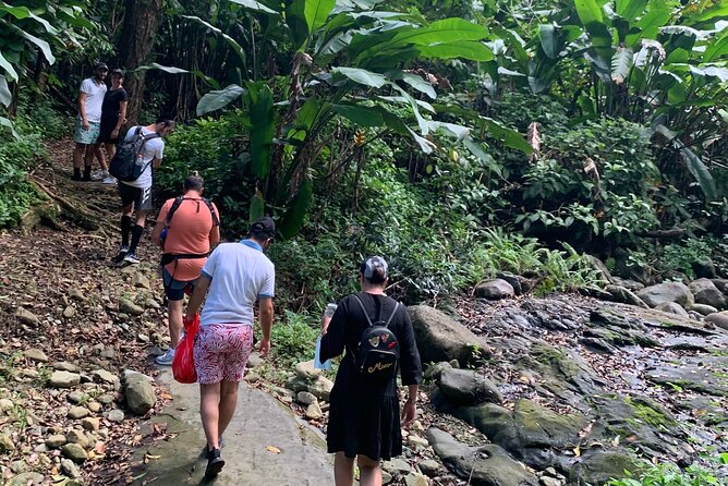 El Yunque National Forest and Luquillo Beach Combo - Yokahú Tower Gives You the Big Picture
