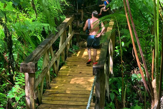 El Yunque National Forest and Luquillo Beach Tour - The river swim is the tour’s most active moment