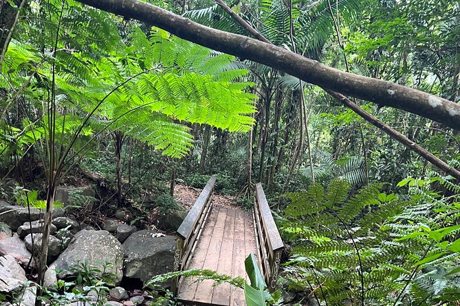 El Yunque National Forest Guided Tour with Transport - Key points at a glance