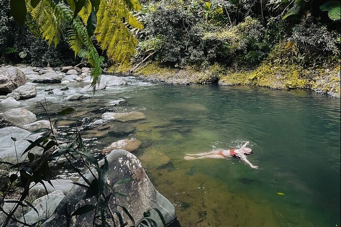 El Yunque National Forest Guided Tour with Transport - Why this El Yunque tour is worth considering