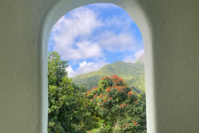 El Yunque National Forest Guided Tour with Transport - The waterfall you see from the van