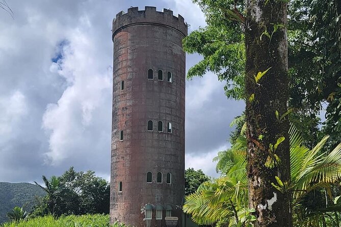 El Yunque National Forest Guided Tour with Transport - Mameyes II and the mountain swimming stop