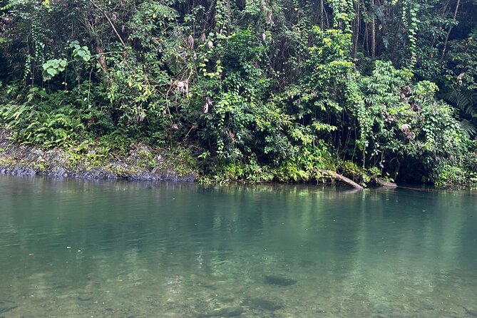 El Yunque National Forest Guided Tour with Transport - What the guides add to the experience