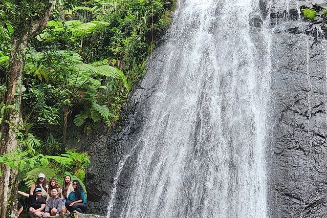 El Yunque National Rainforest and Luquillo Beach Tour - Why this six-and-a-half-hour outing works