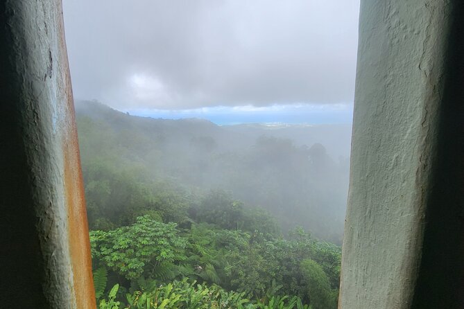 El Yunque National Rainforest and Luquillo Beach Tour - The Mameyes River walk and natural pools