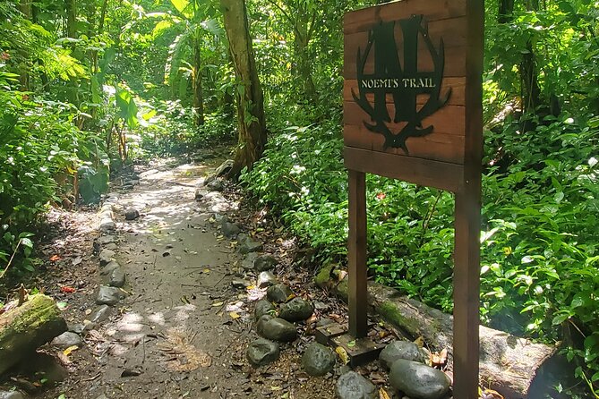 El Yunque National Rainforest and Luquillo Beach Tour - What $79 really includes