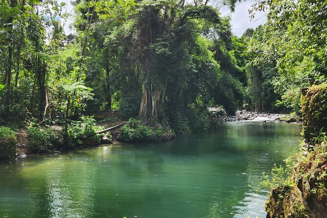 El Yunque National Rainforest and Luquillo Beach Tour - The guide can shape the whole day