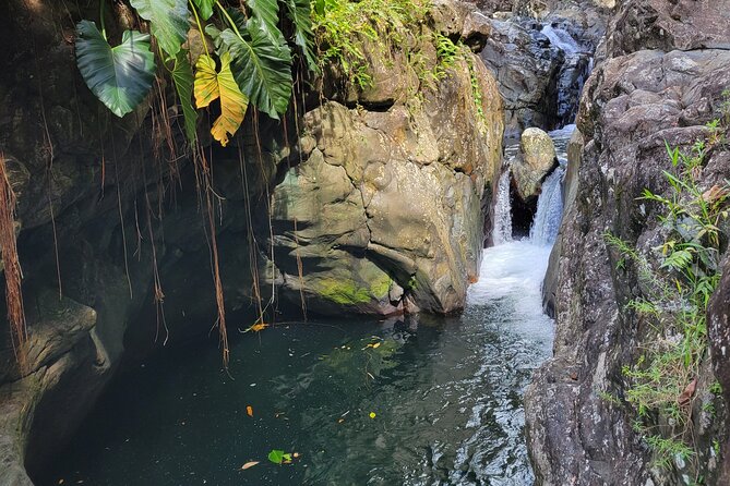 El Yunque Rainforest and Luquillo Kiosk Day Trip - The ride from San Juan to El Yunque