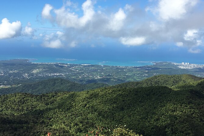 El Yunque Rainforest EZ-going Bus Tour (wheelchair accessible) - Starting from Isla Verde and settling into the day