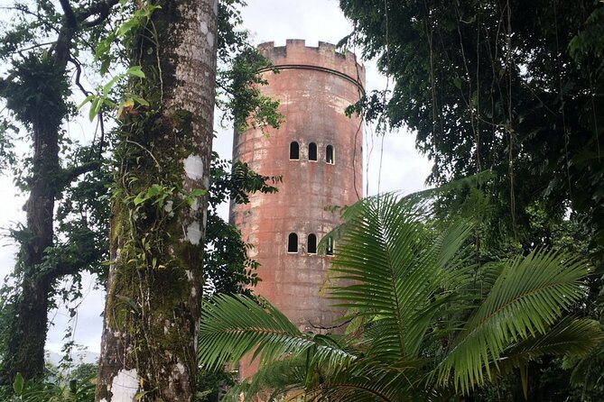 El Yunque Rainforest EZ-going Bus Tour (wheelchair accessible) - La Coca Waterfall: a fast photo stop