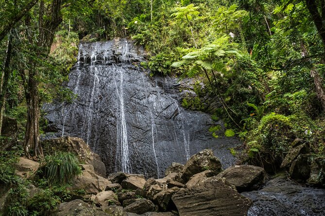 El Yunque Rainforest EZ-going Bus Tour (wheelchair accessible) - Juan Diego Falls: an optional short walk