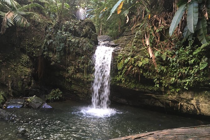 El Yunque Rainforest EZ-going Bus Tour (wheelchair accessible) - Baño Grande: a calm historic pool