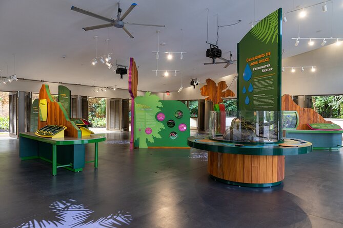 El Yunque Rainforest EZ-going Bus Tour (wheelchair accessible) - Luquillo Kiosks: one hour for food and local flavor