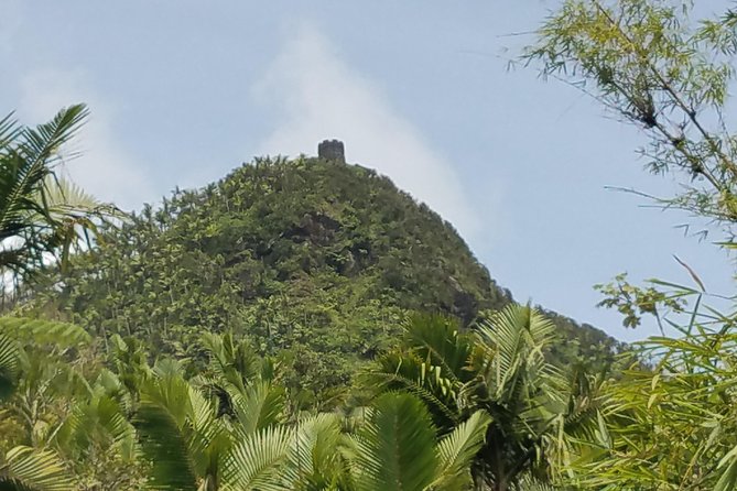 El Yunque Rainforest Full Day Private Tour - Reaching the higher points
