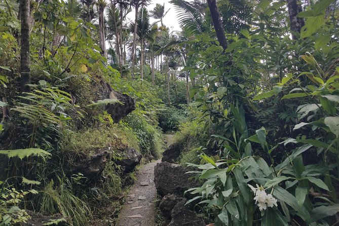 El Yunque Rainforest Full Day Private Tour - Yokahu Tower and the wide view