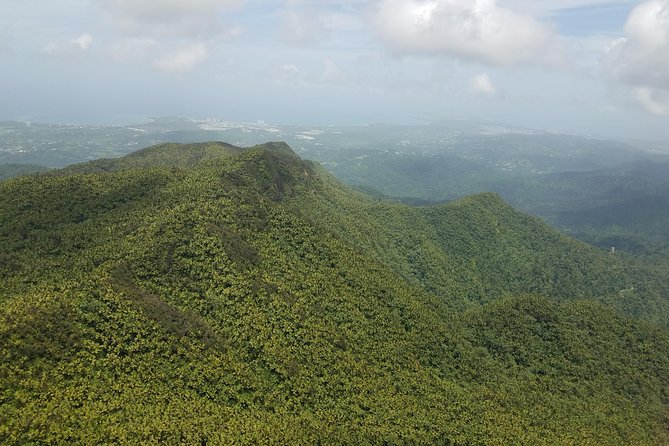 El Yunque Rainforest Full Day Private Tour - What makes the guiding personal