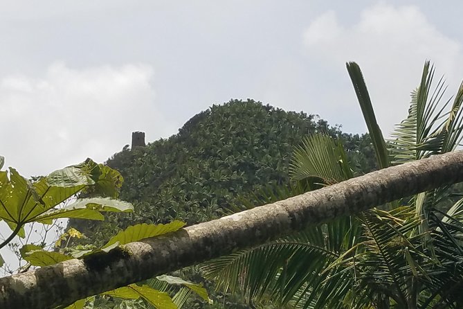 El Yunque Rainforest Full Day Private Tour - The $333 price and who gets good value