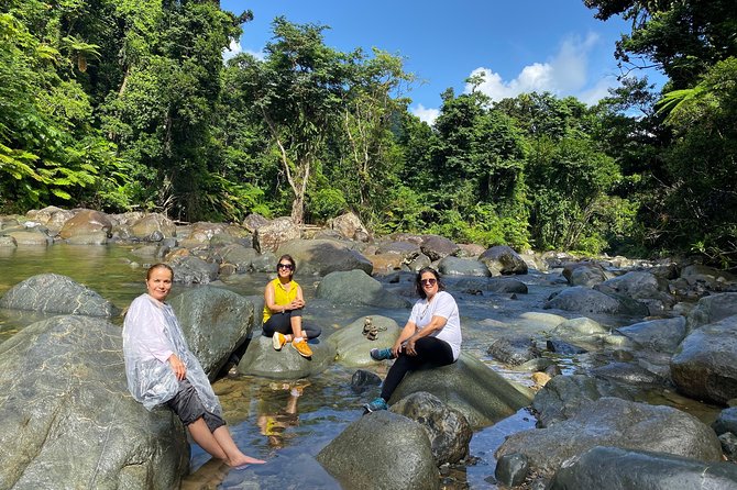 El Yunque Rainforest Guided Day Tour from San Juan - Why this tour works well from San Juan