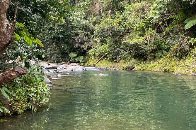 El Yunque Rainforest Guided Day Tour from San Juan - The river swim depends on the sky
