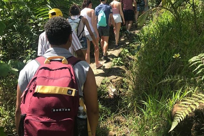 El Yunque Rainforest Guided Day Tour from San Juan - What $85 buys you