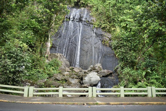 El Yunque Rainforest Guided Day Tour from San Juan - Who will enjoy this half-day outing