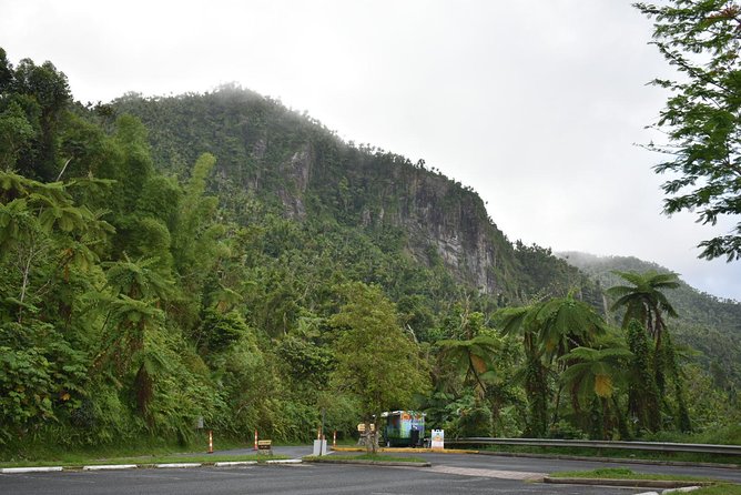 El Yunque Rainforest Guided Day Tour from San Juan - The 45-minute forest walk at Mameyes II