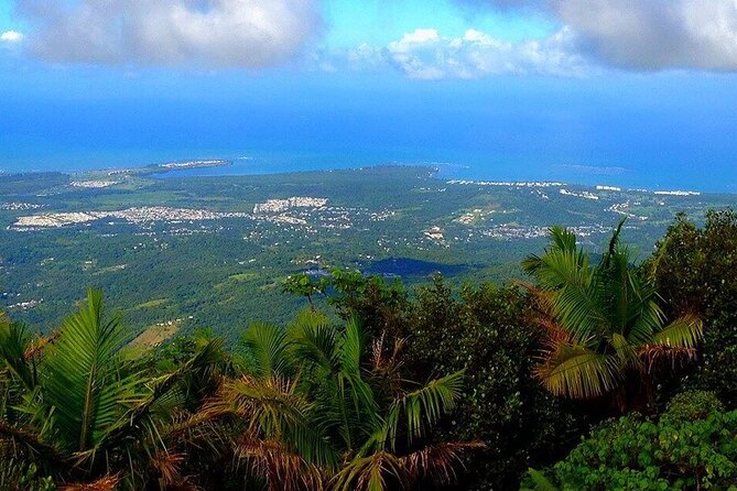 El Yunque Rainforest Guided Tour - Key Points to Know Before You Go