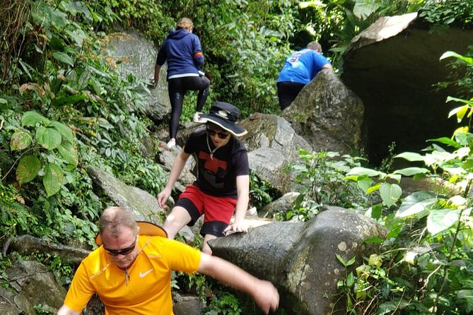 El Yunque Rainforest Guided Tour - The Drive Into the Forest