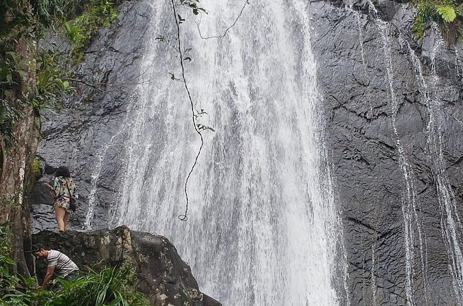 El Yunque Rainforest Guided Tour - Waterfall Views and a Clear River Stop