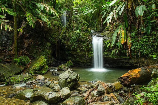 El Yunque Rainforest Guided Tour - The Food Stop Adds a Local Touch