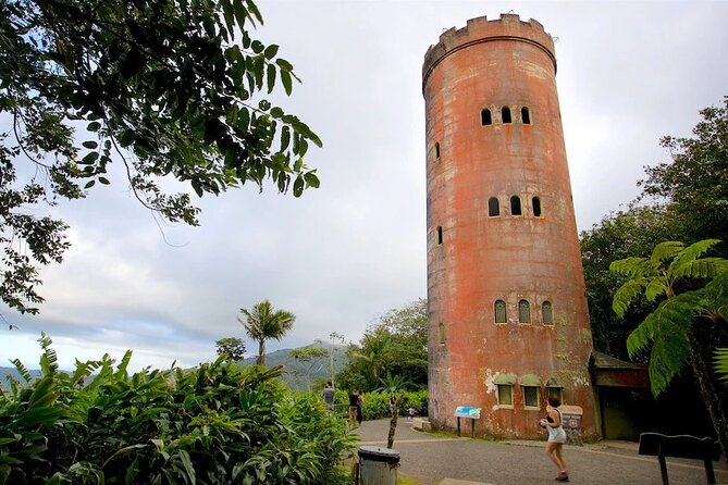 El Yunque Rainforest Guided Tour - Guides Make the Difference