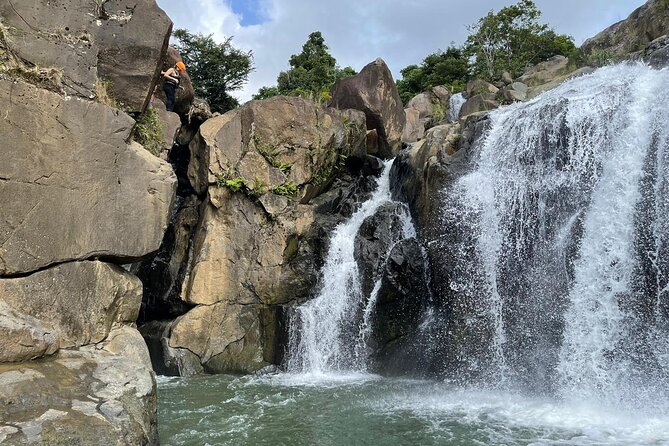 El Yunque Rainforest Hike and Luquillo Beach Tour - A relaxed 90 minutes at Luquillo Beach