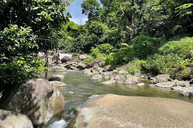 El Yunque Rainforest Hike and Luquillo Beach Tour - Timing, fitness, and what to prepare