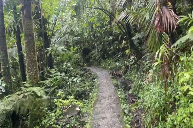 El Yunque Rainforest Hike with Transport from San Juan - Leaving San Juan for El Yunque