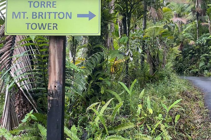 El Yunque Rainforest Hike with Transport from San Juan - Waterfalls, rivers, and swimming pools