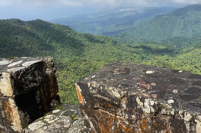 El Yunque Rainforest Hike with Transport from San Juan - What the guides add to the day