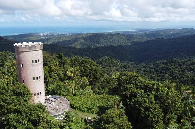 El Yunque Rainforest Hike with Transport from San Juan - How the $125 price measures up