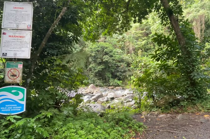 El Yunque Rainforest Hike with Transport from San Juan - Who will enjoy this rainforest outing