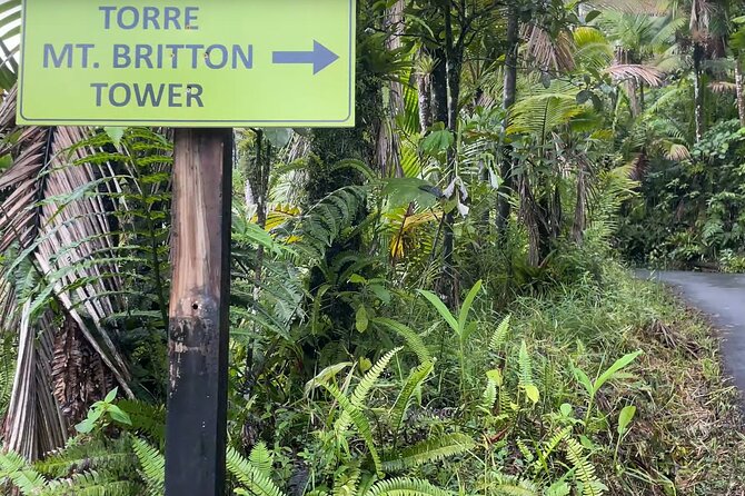 El Yunque Rainforest Hike with Transport from San Juan - The walk to Mt. Britton Lookout Tower
