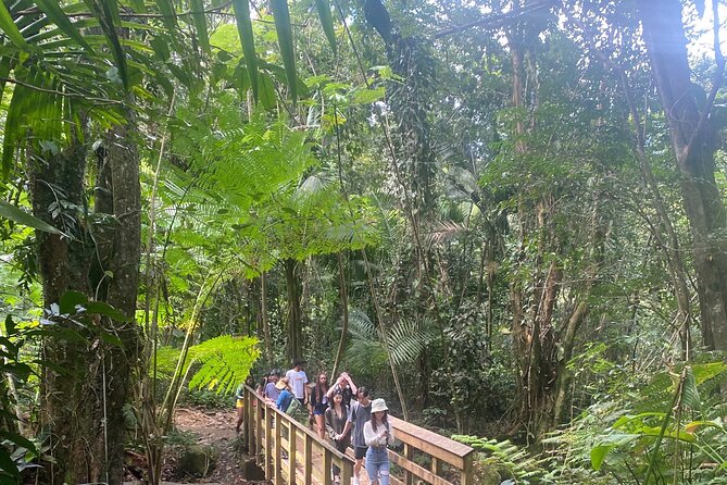 El Yunque Rainforest Hiking Tour from San Juan - Key Points Before You Book