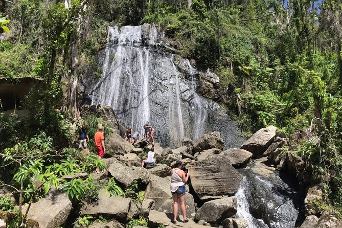 El Yunque Rainforest Hiking Tour from San Juan - Why This Half-Day Trip Works From San Juan