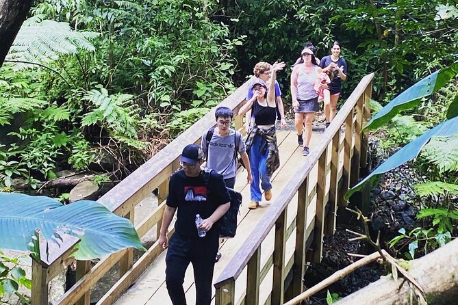 El Yunque Rainforest Hiking Tour from San Juan - The Trail and River Stop