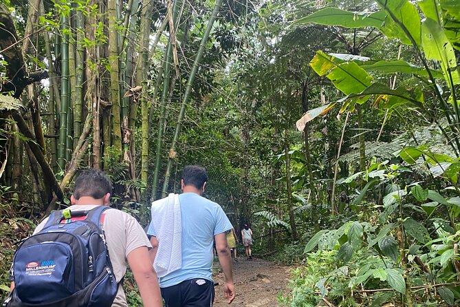El Yunque Rainforest Hiking Tour from San Juan - What the Guides Add