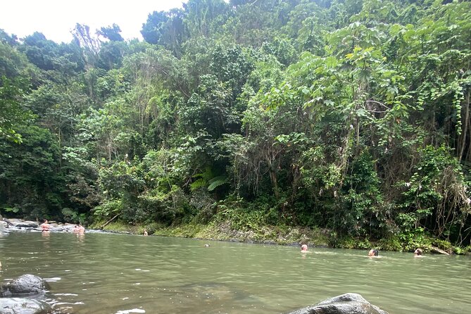 El Yunque Rainforest Hiking Tour from San Juan - How the $79 Price Measures Up
