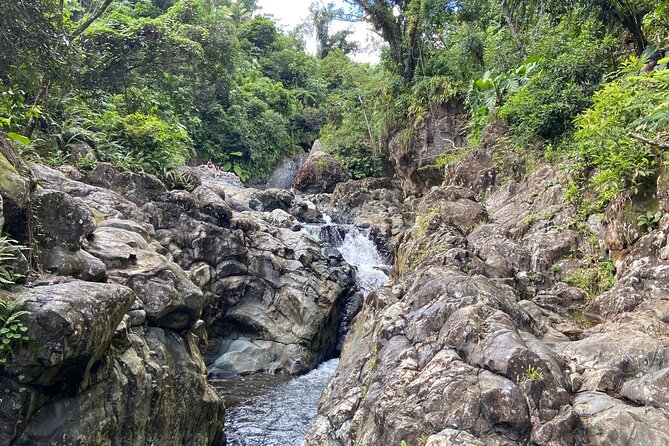 El Yunque Rainforest Morning River and Hike Adventure - Why Las Tinajas makes a good morning escape